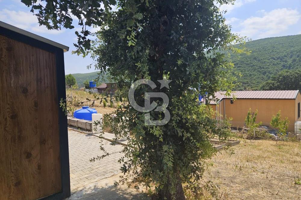 NİLÜFER HASANAĞA DA TINY HOUSE OLAN SATILIK HOBİ BAHÇESİ
