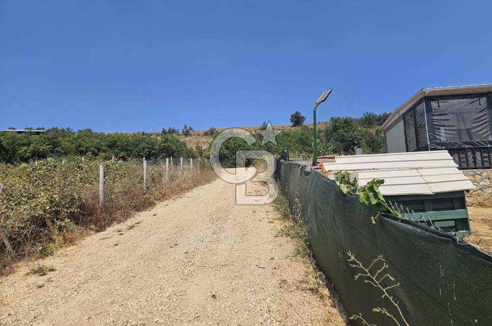 NİLÜFER HASANAĞA DA TINY HOUSE OLAN SATILIK HOBİ BAHÇESİ