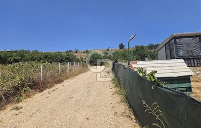 NİLÜFER HASANAĞA DA TINY HOUSE OLAN SATILIK HOBİ BAHÇESİ
