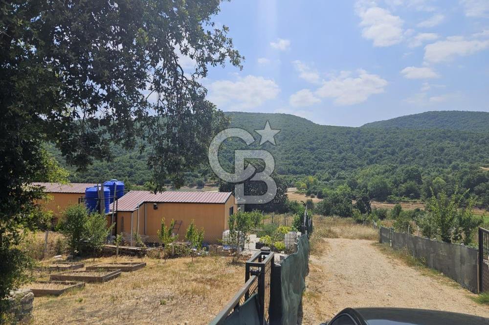 NİLÜFER HASANAĞA DA TINY HOUSE OLAN SATILIK HOBİ BAHÇESİ