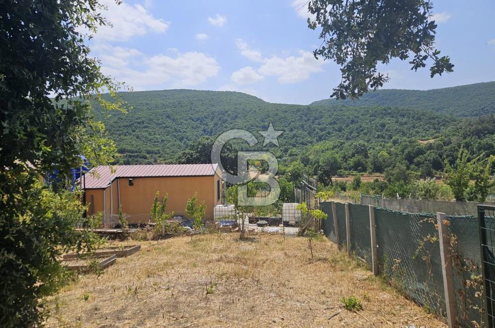 NİLÜFER HASANAĞA DA TINY HOUSE OLAN SATILIK HOBİ BAHÇESİ
