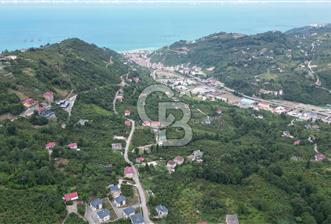 YOMRA GÜRSEL MAHALLESİNDE MERKEZE 3 KM UZAKLIKTA SATILIK ARSA