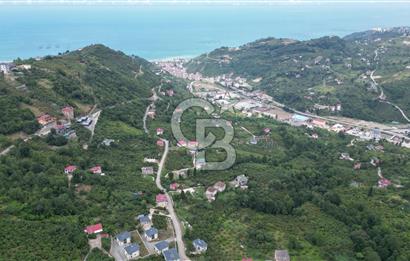 YOMRA GÜRSEL MAHALLESİNDE MERKEZE 3 KM UZAKLIKTA SATILIK ARSA