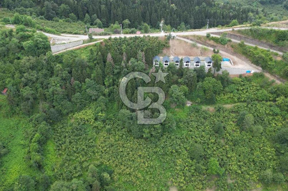 YOMRA GÜRSEL MAHALLESİNDE MERKEZE 3 KM UZAKLIKTA SATILIK ARSA