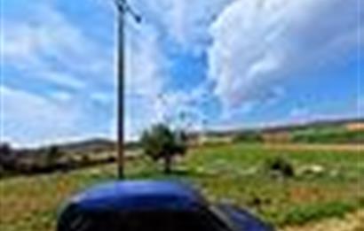 Manisa Salihli Poyraz Mahallesi Satılık Tarla