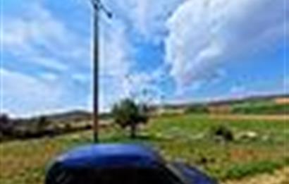 Manisa Salihli Poyraz Mahallesi Satılık Tarla