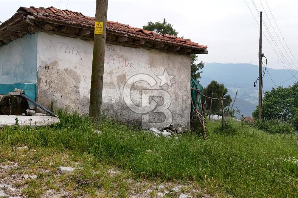 SATILIK FIRSAT BAHÇELİ DAM 