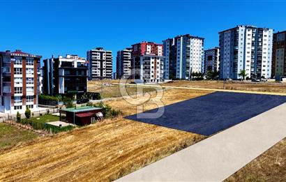 Kenan KÖSE'den Atakum Büyükoyumca'da Kat Karşılığı 1103 m2 Arsa