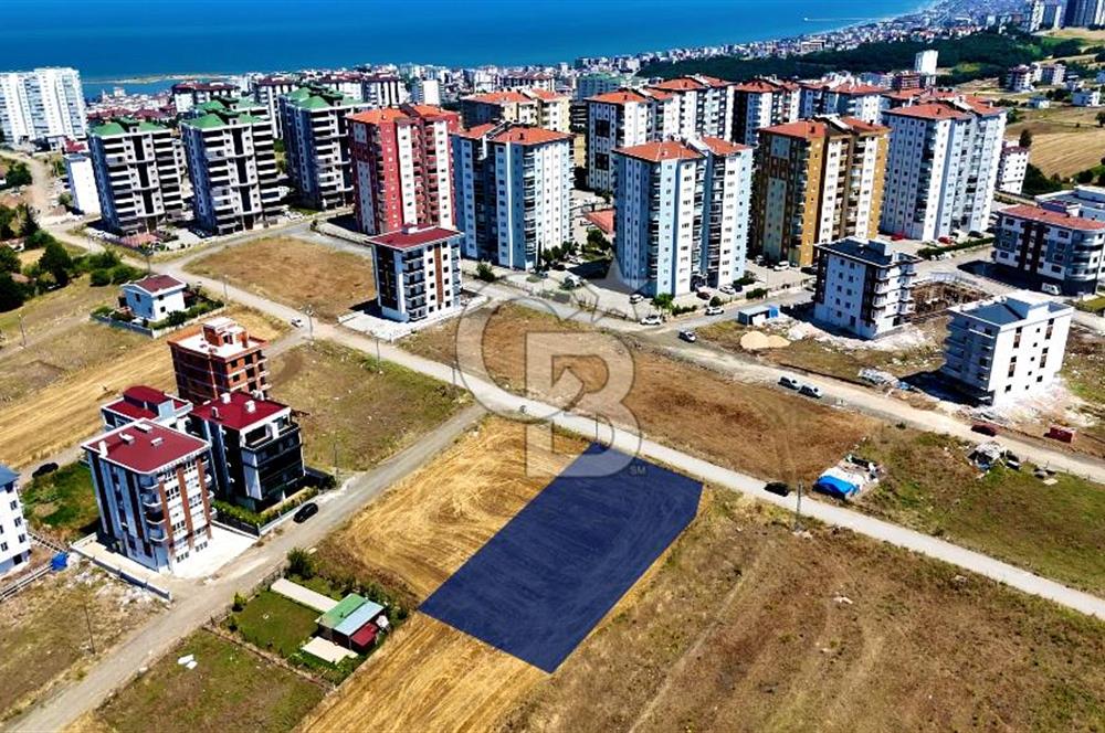 Kenan KÖSE'den Atakum Büyükoyumca'da Kat Karşılığı 1103 m2 Arsa