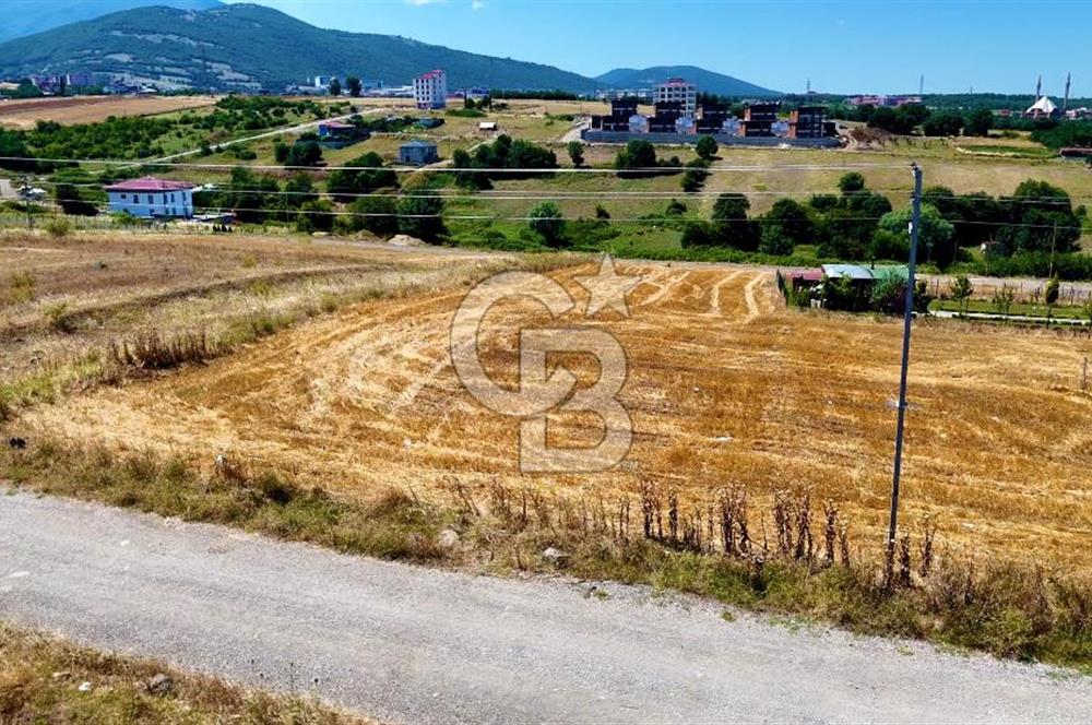 Kenan KÖSE'den Atakum Büyükoyumca'da Kat Karşılığı 1103 m2 Arsa