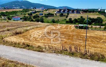 Kenan KÖSE'den Atakum Büyükoyumca'da Kat Karşılığı 1103 m2 Arsa
