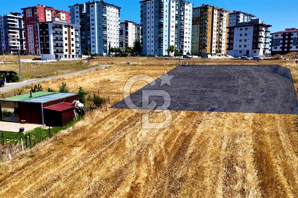Kenan KÖSE'den Atakum Büyükoyumca'da Kat Karşılığı 1103 m2 Arsa