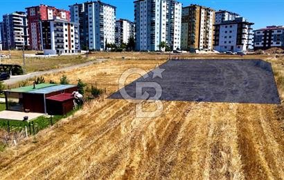 Kenan KÖSE'den Atakum Büyükoyumca'da Kat Karşılığı 1103 m2 Arsa
