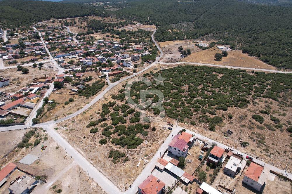 Bergama Zeytindağ Da Satılık EV ARsa