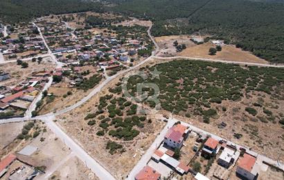 Bergama Zeytindağ Da Satılık EV ARsa