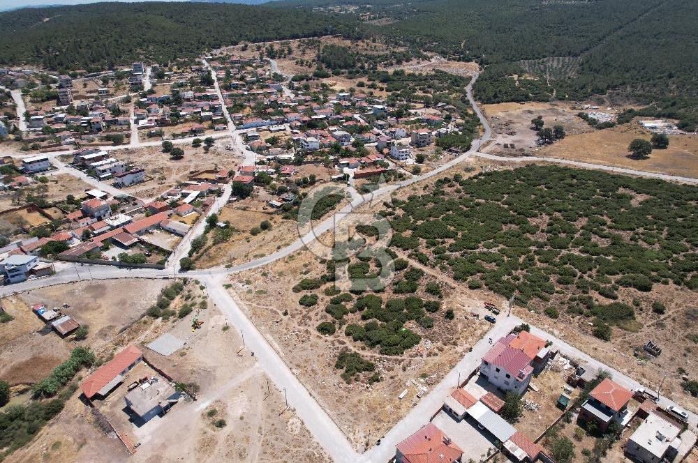 Bergama Zeytindağ Da Satılık EV ARsa