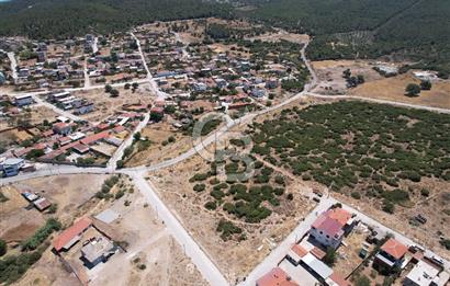 Bergama Zeytindağ Da Satılık EV ARsa