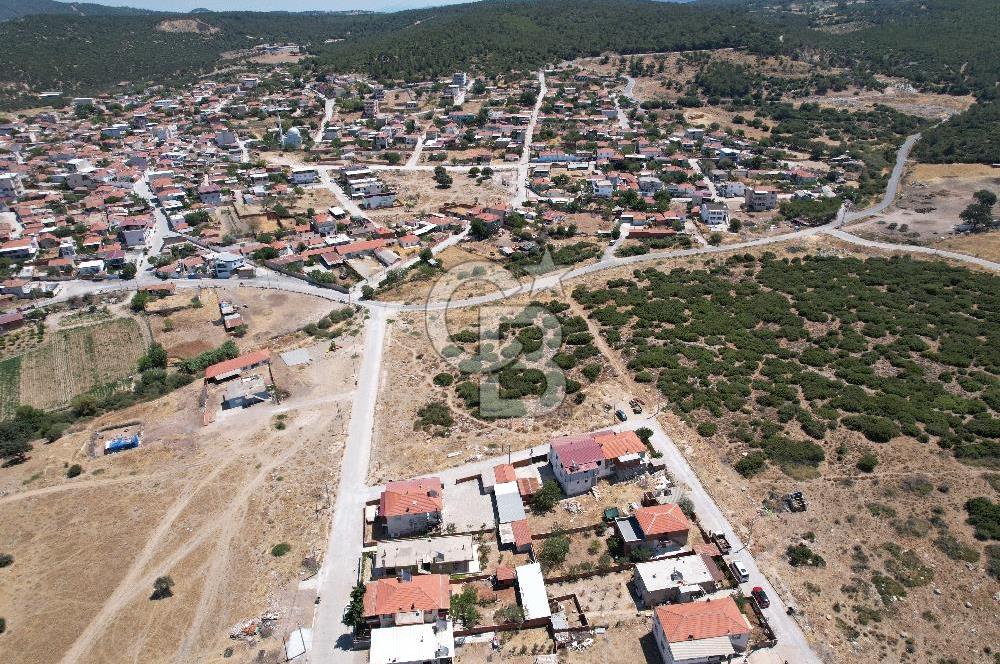 Bergama Zeytindağ Da Satılık EV ARsa