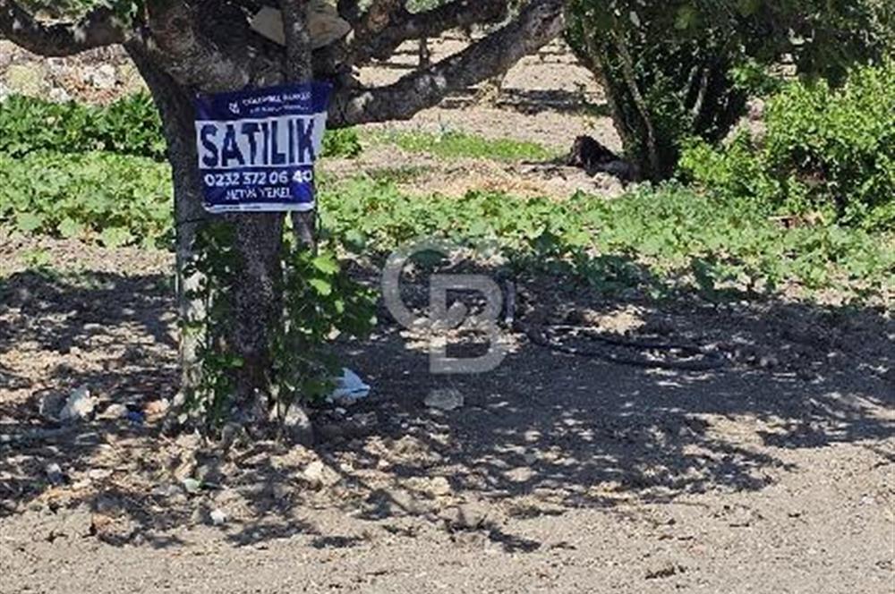 AKHİSAR BALLICA MAHALLESİNDE SATILIK 10950M2 TARLA 