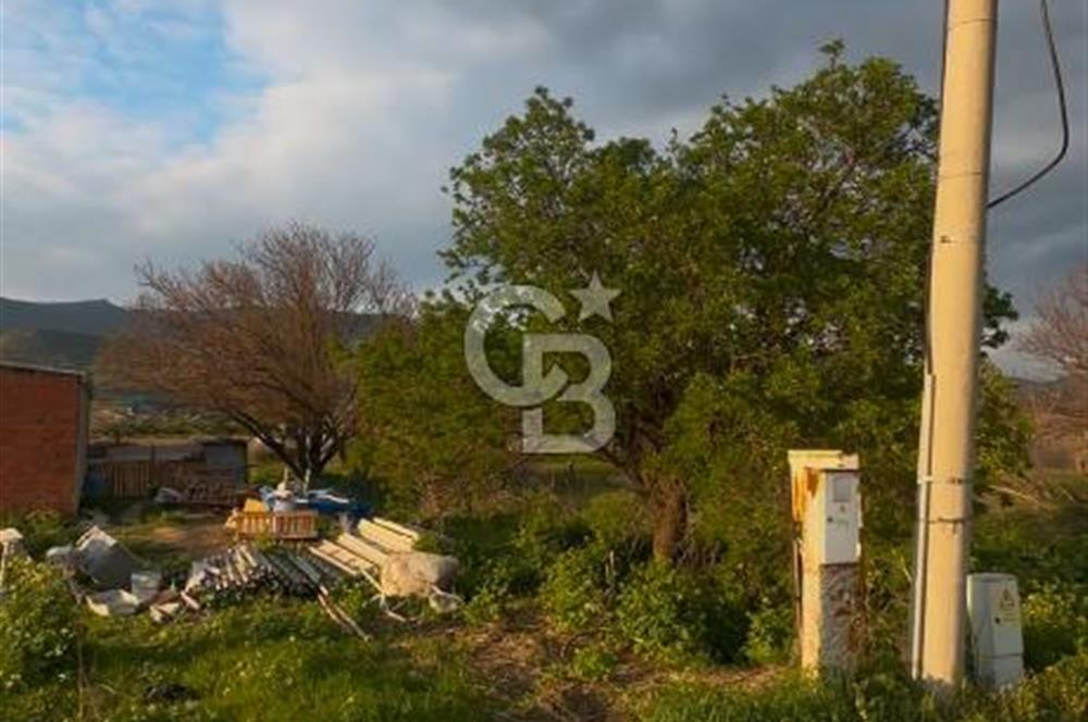 MENEMEN YAYLA MAHALLESİNDE SATILIK BAĞ