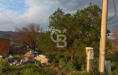 MENEMEN YAYLA MAHALLESİNDE SATILIK BAĞ