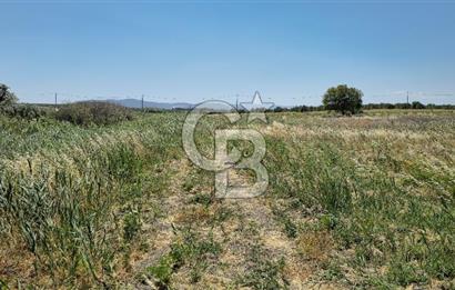 AKHİSAR BALLICA MAHALLESİNDE SATILIK 10950M2 TARLA 