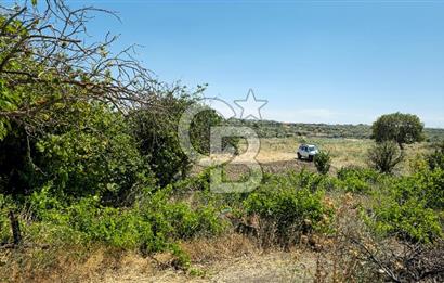 AKHİSAR BALLICA MAHALLESİNDE SATILIK 10950M2 TARLA 