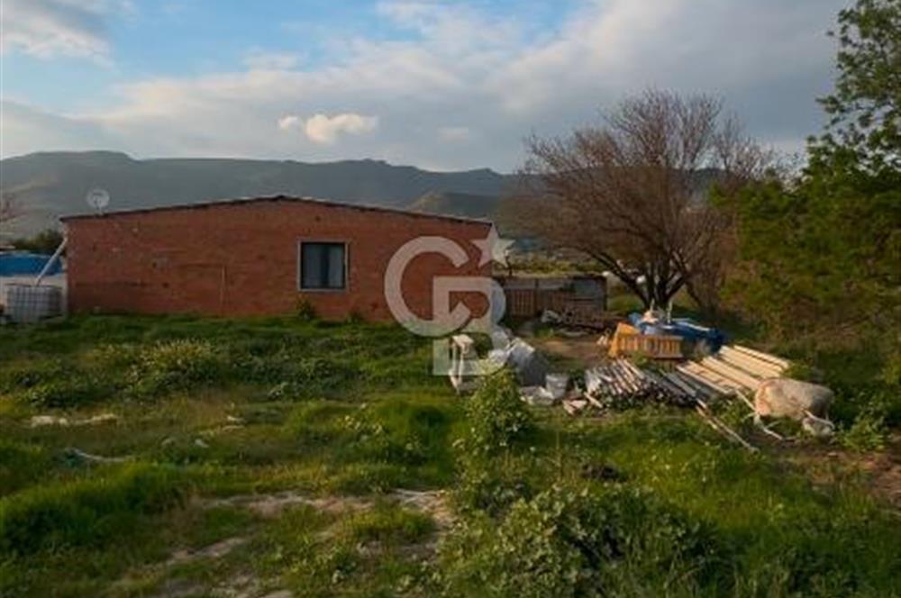 MENEMEN YAYLA MAHALLESİNDE SATILIK BAĞ