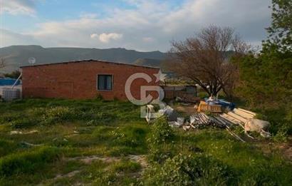 MENEMEN YAYLA MAHALLESİNDE SATILIK BAĞ