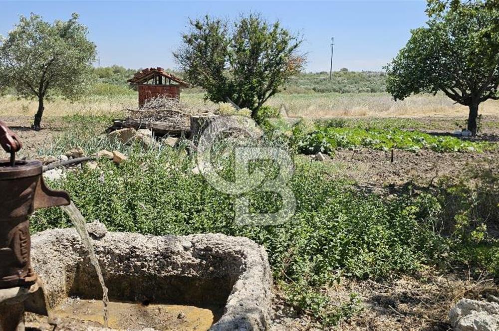 AKHİSAR BALLICA MAHALLESİNDE SATILIK 10950M2 TARLA 