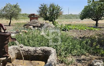 AKHİSAR BALLICA MAHALLESİNDE SATILIK 10950M2 TARLA 