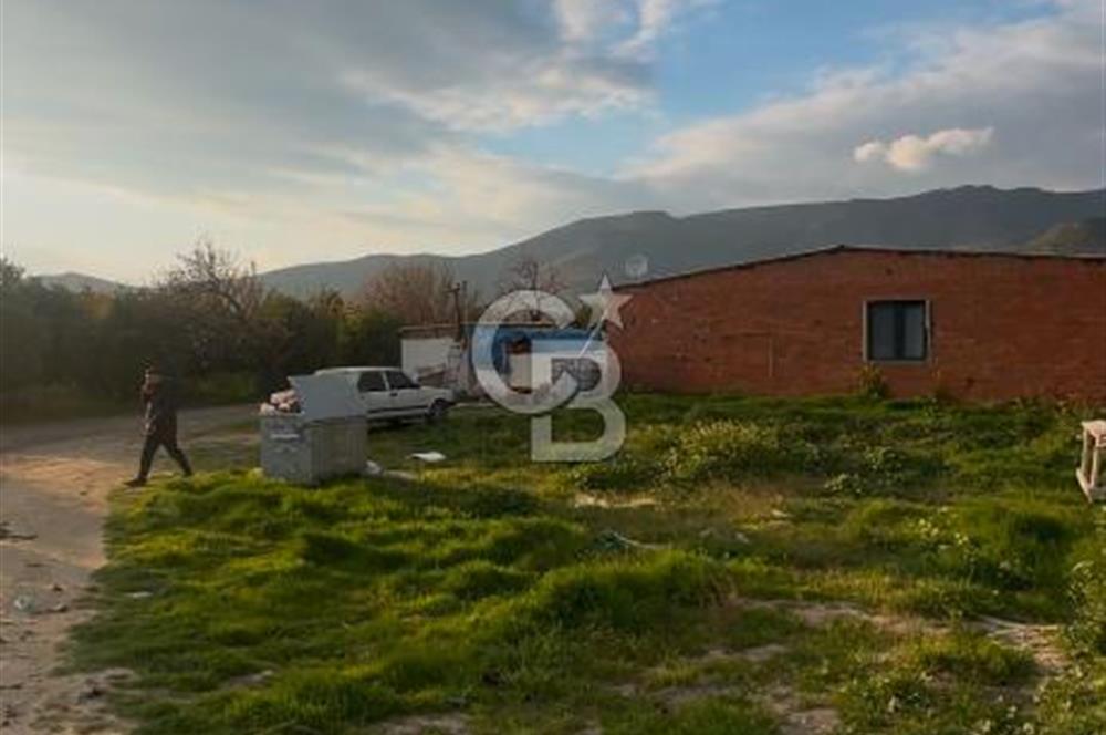 MENEMEN YAYLA MAHALLESİNDE SATILIK BAĞ