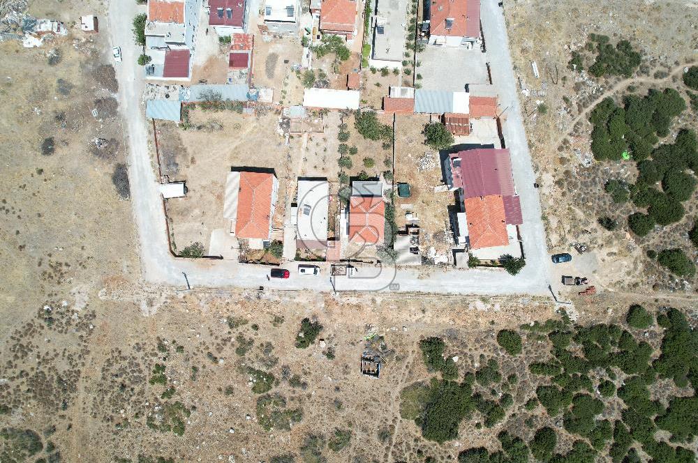 Bergama Zeytindağ Da Satılık EV ARsa