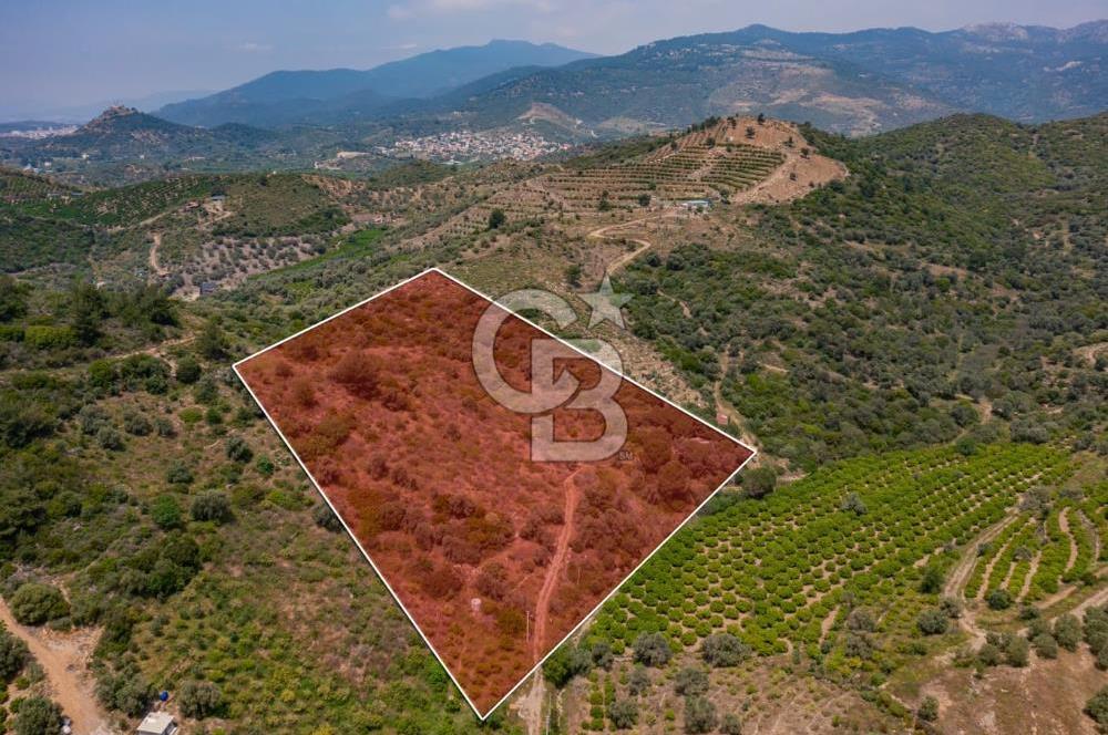 Menderes Özdere'de Denize Yakın, Müstakil Tapulu Satılık Arazi