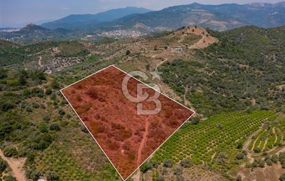 Menderes Özdere'de Denize Yakın, Müstakil Tapulu Satılık Arazi