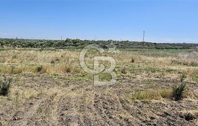 AKHİSAR BALLICA MAHALLESİNDE SATILIK 10950M2 TARLA 