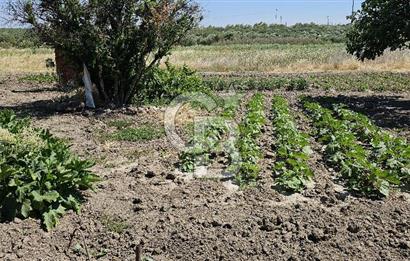 AKHİSAR BALLICA MAHALLESİNDE SATILIK 10950M2 TARLA 