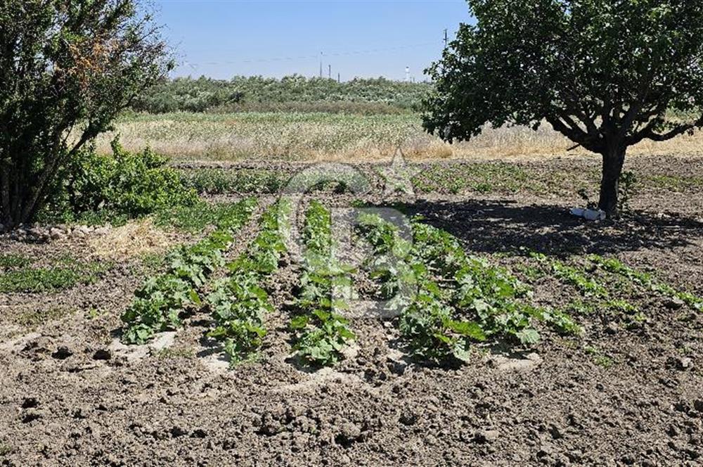AKHİSAR BALLICA MAHALLESİNDE SATILIK 10950M2 TARLA 