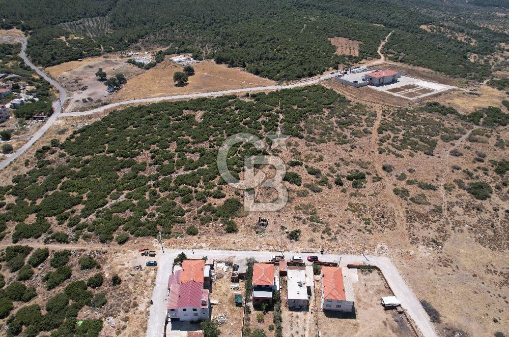Bergama Zeytindağ Da Satılık EV ARsa