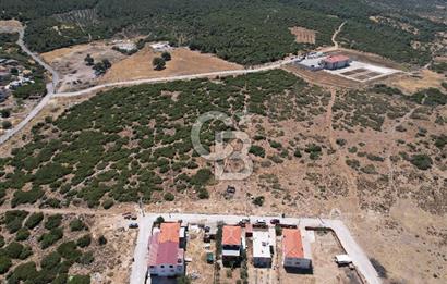 Bergama Zeytindağ Da Satılık EV ARsa
