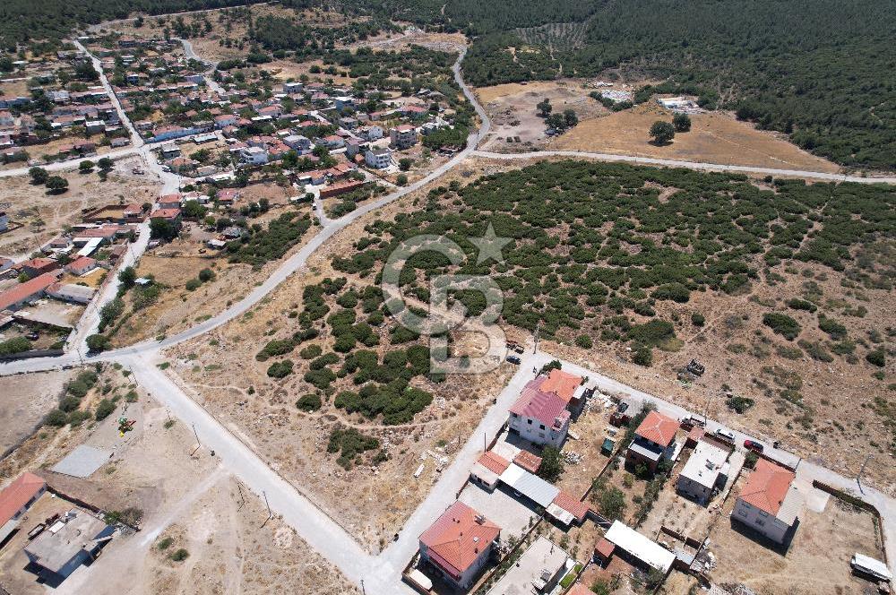Bergama Zeytindağ Da Satılık EV ARsa