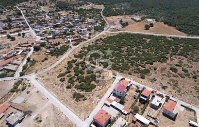 Bergama Zeytindağ Da Satılık EV ARsa