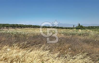 AKHİSAR BALLICA MAHALLESİNDE SATILIK 10950M2 TARLA 