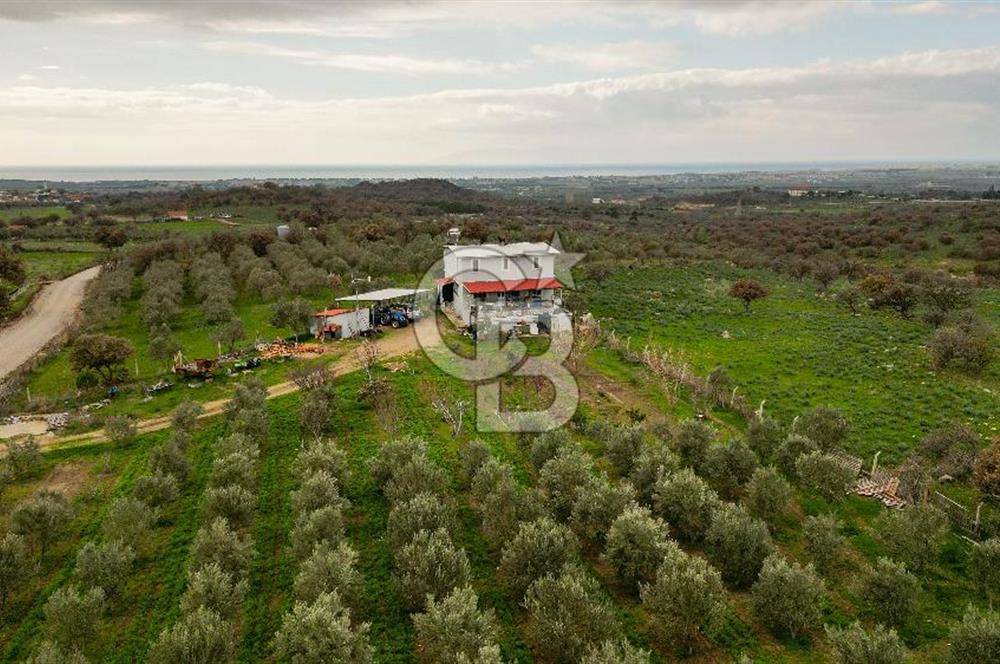 Dikili Kıratlı'da Satılık Müstakil Tapulu Arazi ve Dubleks Ev