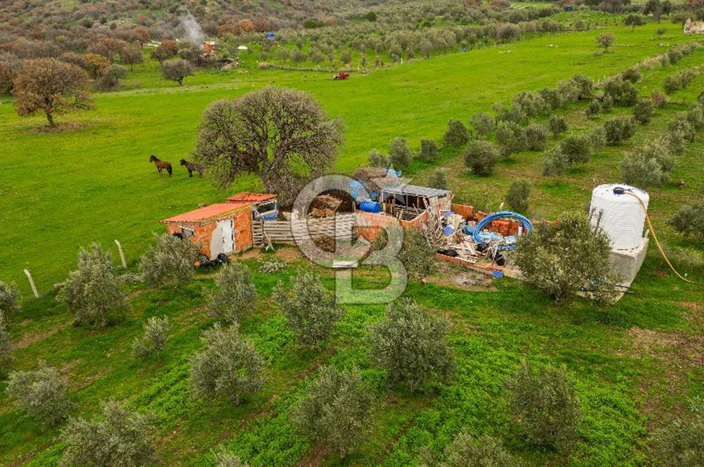 Dikili Kıratlı'da Satılık Müstakil Tapulu Arazi ve Dubleks Ev