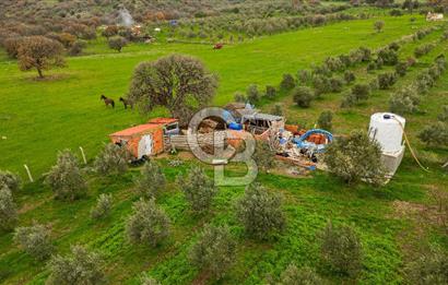 Dikili Kıratlı'da Satılık Müstakil Tapulu Arazi ve Dubleks Ev