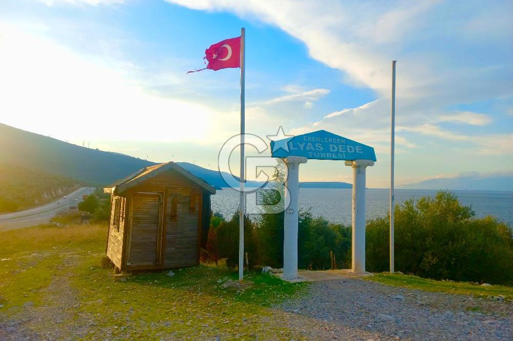 PINARCIK'TA ANAYOLA VE GÖLE SIFIR 10 DÖNÜM ZEYTİNLİK