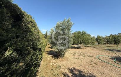 Urla’da Satılık Müstakil Havuzlu Malikane