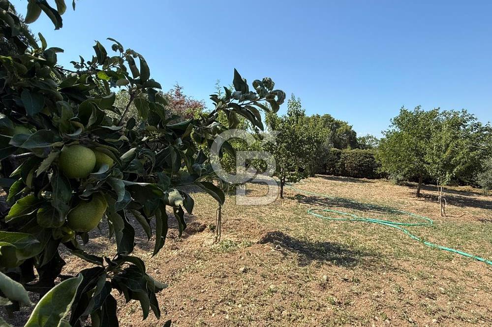 Urla’da Satılık Müstakil Havuzlu Malikane