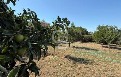 Urla’da Satılık Müstakil Havuzlu Malikane